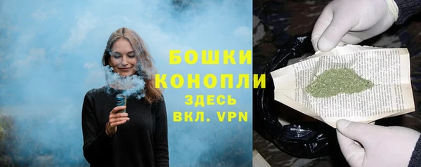 стафф Бородино