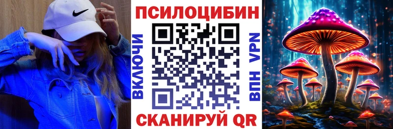 Купить где  Белый  Галлюциногенные грибы Magic Shrooms 